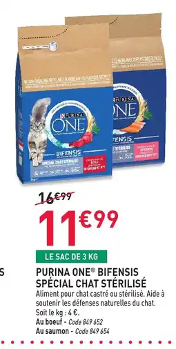 RAGT Jardin & Maison PURINA ONE Bifensis junior offre