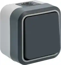 Brico Dépôt Va-et-vient etanche ip 55 offre