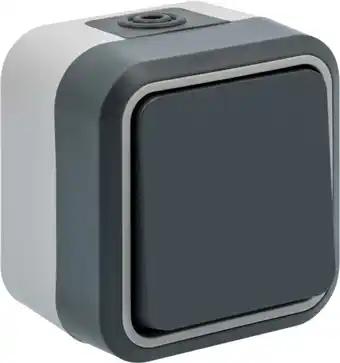 Brico Dépôt Va-et-vient etanche ip 55 offre