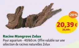 Maxi Zoo Zolux Racine Mangrove offre
