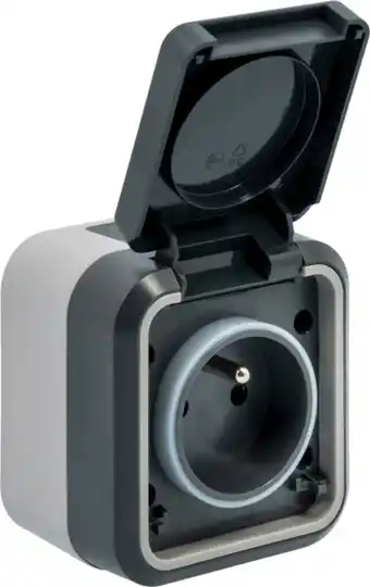 Brico Dépôt Prise 2p+t etanche ip55 offre