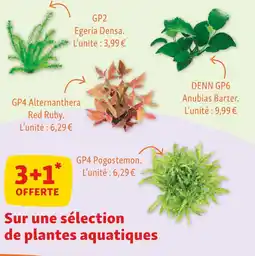 Maxi Zoo 3+1 offerte sur une sélection de plantes aquatiques offre