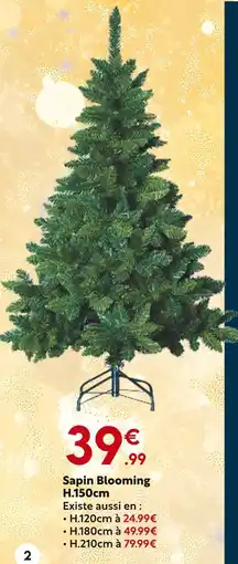 Maxi Bazar Sapin blooming h.150cm offre