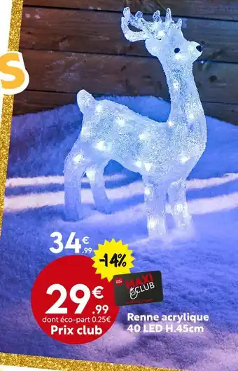 Maxi Bazar Renne acrylique offre