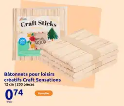 Action Bâtonnets pour loisirs créatifs Craft Sensations offre
