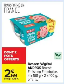 Carrefour Dessert Végétal ANDROS offre