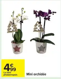 Carrefour Mini orchidée offre