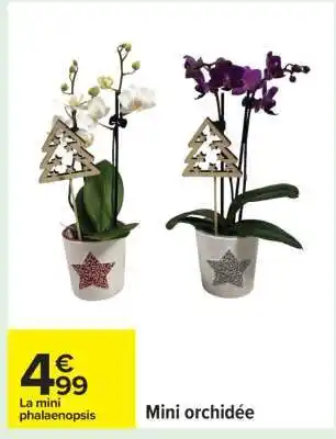 Carrefour Mini orchidée offre