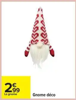 Carrefour Gnome déco offre