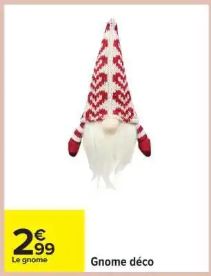 Carrefour Gnome déco offre