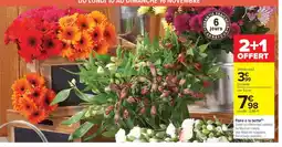 Carrefour Market Foire à la botte offre