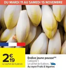 Carrefour Market Endive jeune pousse offre
