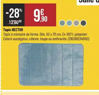 HECTOR Tapis