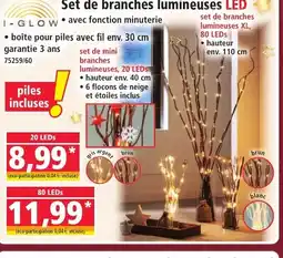 Norma I-GLOW Set de branches lumineuses LED offre