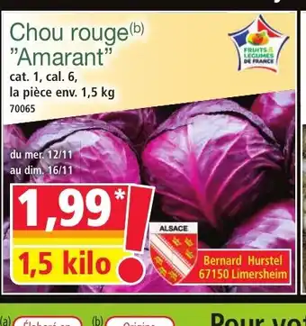 Norma Chou rouge Amarant offre