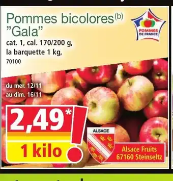 Norma Pommes bicolores Gala offre