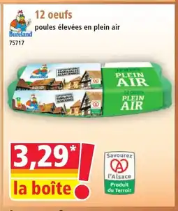 Norma 12 oeufs offre