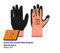 Action WERCKMANN Gants de travail thermiques offre