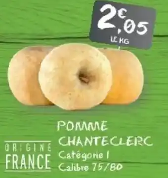G20 Pomme chanteclerc offre