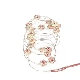 Carrefour Market CARREFOUR La guirlande micro LED offre