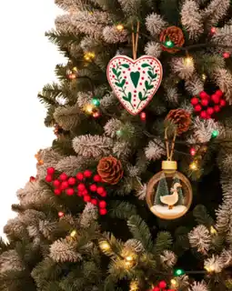 Carrefour Market CARREFOUR La guirlande nomade animée LED offre