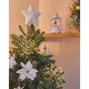 Carrefour Market CARREFOUR Le pic de fleurs d'artifices offre