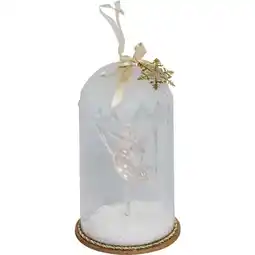 Carrefour CARREFOUR Ballerine sous dôme transparent offre