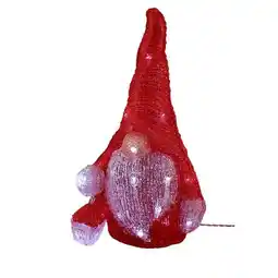 Carrefour Gnome lumineux offre