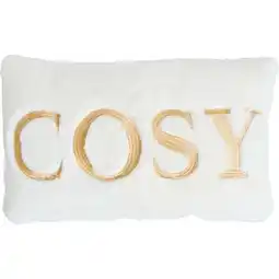 Carrefour TEX HOME Coussin Cosy offre