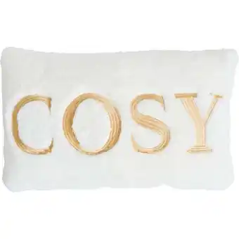 Carrefour TEX HOME Coussin Cosy offre