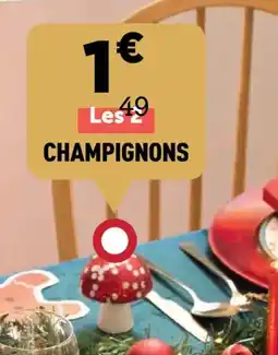 Centrakor Champignons offre