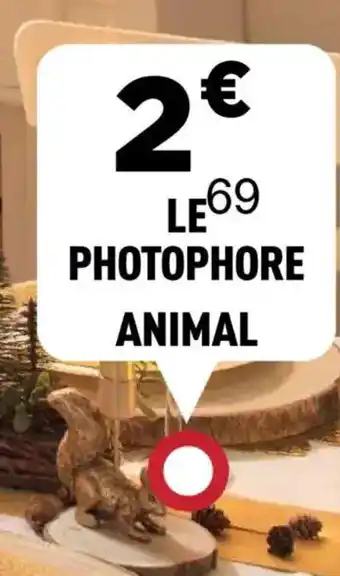 Centrakor Photophore animal offre