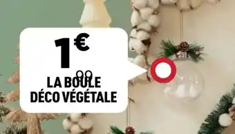 Centrakor La boule déco végétale offre