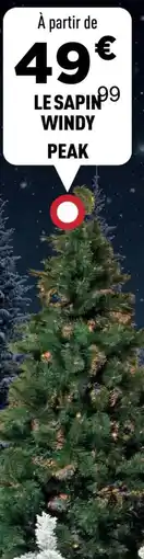 Centrakor Le sapin windy peak offre