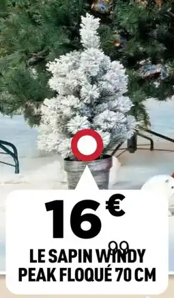 Centrakor Le sapin windy peak floqué 70 cm offre