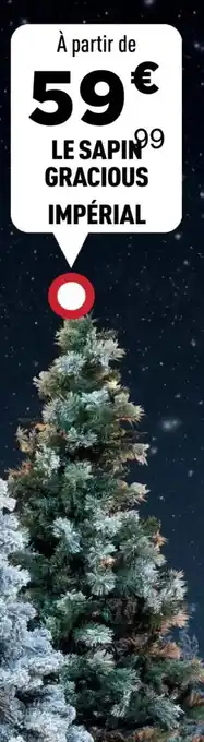 Centrakor Le sapin gracious impérial offre