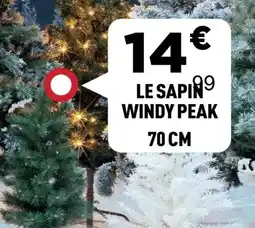 Centrakor Le sapin windy peak 70 cm offre