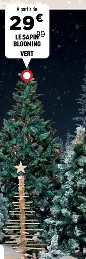 Centrakor Le sapin blooming vert offre