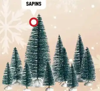 Centrakor Sapins offre