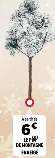 Centrakor Le pin de montagne enneigé offre