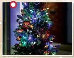 Centrakor La guirlande 80 led 6 m offre