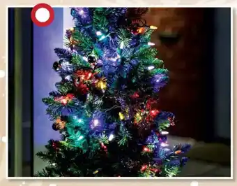 Centrakor La guirlande 80 led 6 m offre