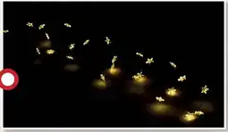 Centrakor La guirlande étoiles 40 led 2m offre