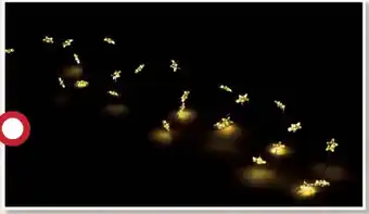 Centrakor La guirlande étoiles 40 led 2m offre