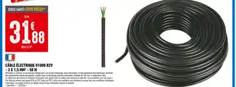 Brico Cash CÂBLE ÉLECTRIQUE U1000 R2V offre
