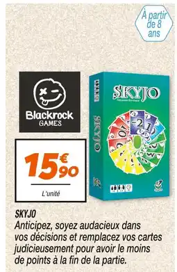 Netto Blackrock Games Skyjo offre