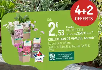 Botanic botanic Collection de vivaces offre