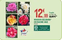 Botanic DELBARD Rosiers en racine-nue offre