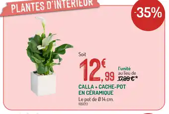 Botanic Calla + Cache-pot en céramique offre
