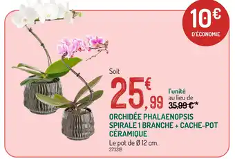 Botanic Orchidée Phalaenopsis Spirale 1 Branche + Cache-Pot Céramique offre